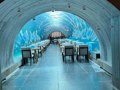 -涛·海底餐厅·美人鱼·自助餐·海底隧道(三亚海棠湾洲际度假酒店)