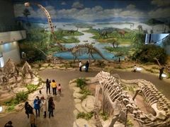 -自贡恐龙博物馆