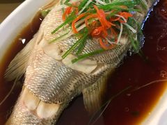 -台北楚楚园馅饼粥(虹桥南丰城店)