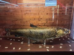 -南京金牛湖风景区