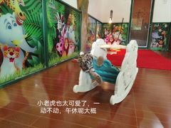 -杭州野生动物世界