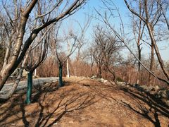 -阳台山自然风景区