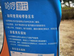 -丁香湖公园