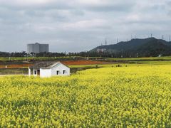 -光明小镇欢乐田园