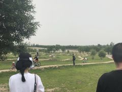 -兴安湖生态运动公园