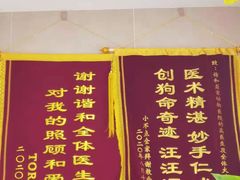 -谐和益家动物医院·免疫绝育·血液透析·宠保定点医院(高新伊藤分院)