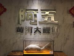 -阿五黄河大鲤鱼(纬三路店)