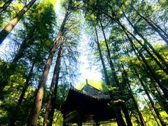 -东湖落雁景区