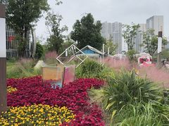 -三圣花乡旅游区