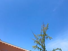 -乡村基(双流时代奥特莱斯餐厅)