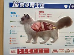 -米苏动物医院·犬猫专科·骨科外科内窥镜