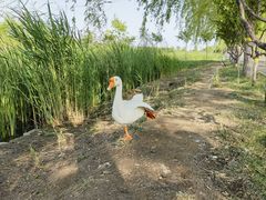 -永定河休闲森林公园