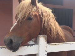 -龙口南山旅游景区