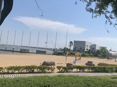 -碧海金沙
