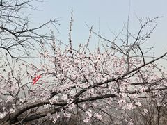 -柳氏民居