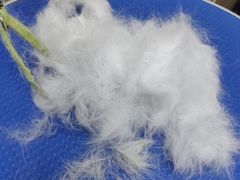 -佳雯宠物医院·皮肤科·内外科(春晓路分院)