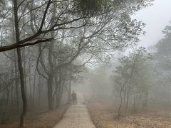 -梧桐山风景名胜区