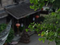 -黄龙溪古镇