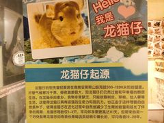 -龙猫仔乐园(惠福东路店)