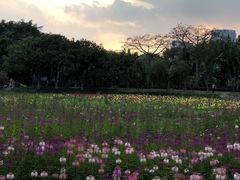 -云溪植物园