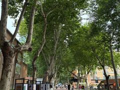 -西安电影制片厂