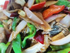-煲来饱去冷水鱼