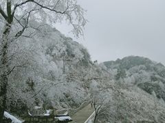 -九皇山景区