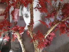 -韩京炭火烤肉自助料理(柯桥万达店)