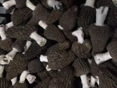 -丙申臺火锅
