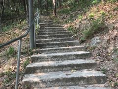 -滴水岩森林公园