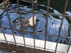 -沈阳鸟岛