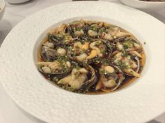 -百盛·鼎膳(中海财富中心)