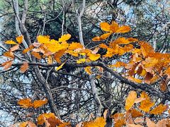 -沈阳辉山风景区