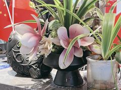 -楚鱼王·河鲜·湖北菜(华农店)