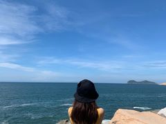 -广东惠东海龟国家级自然保护区