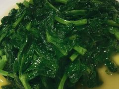-新南华大酒店(广中店)