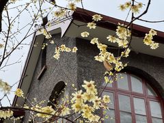 -上海孙中山故居纪念馆