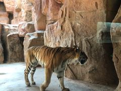 -鄂尔多斯野生动物园