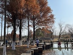 -沙家浜风景区