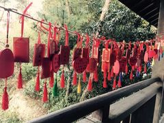 -天目湖涵田半山温泉