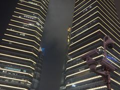 -陆家嘴空中步行连廊