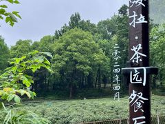 -野蔓果·山野菜(西湖景区·龙井茶田店)