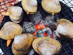-松明一烤肉馆(鲁园店)