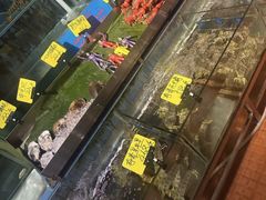 -辉记炭烧海鲜大排档·老字号(福田店)