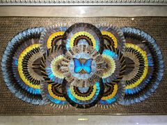 -上海昆虫博物馆