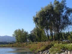 -永定河休闲森林公园
