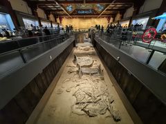 -北京大葆台遗址博物馆