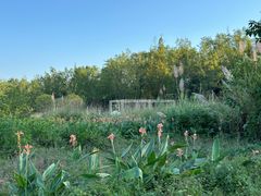 -桤木河湿地公园