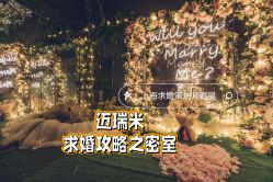 -迈瑞米求婚策划(静安店)