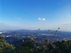 -广州市帽峰山景区